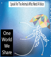 random artwork: jellyfish save poster